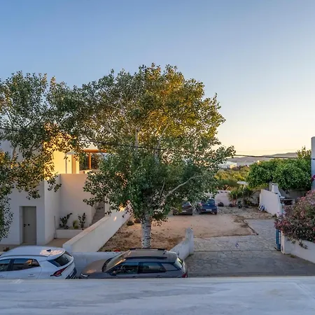 Lavender Minimal * Alikí