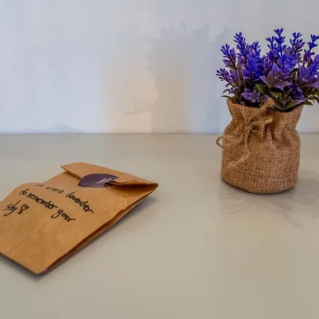 Lavender Minimal
